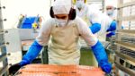 Delpeyrat, Meralliance, Guyader form 'superior salmon' association