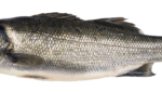 Food distributor teams up with UK-based bass, bream supplier