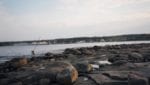 Gulf of Maine set for 'moderate' red tide in 2013