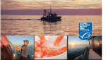 Dutch importer ships first batch of wild, MSC seawater shrimp