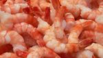 US shrimp market crazy, distributors urge buyers to secure product