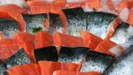 Fresh US salmon imports see record Q1 growth