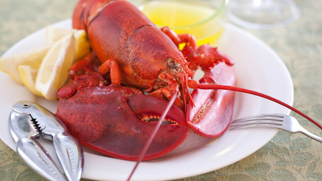 Chinese demand pulling lobster prices up, stretching supply ...
