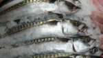 Brits not eating enough oily fish, says study