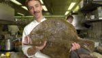 Turbot