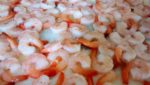 Farmed warmwater shrimp from China. Photo: Undercurrent News
