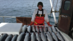 Mary Smith, co-founder of Springline Seafood