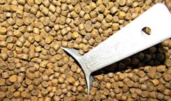 Fish feed pellets