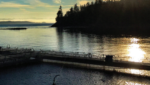 BC salmon farm