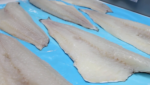 Royal Greenland Nutaaq cod