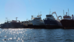 Vessels in Fisherman's Terminal, Seattle