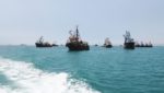  Anchovy fishing, Peru.