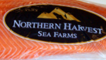 Northern Harvest Sea Farms