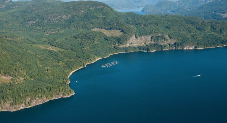 Canadian gov't to give BC salmon farmers five years to transition ...