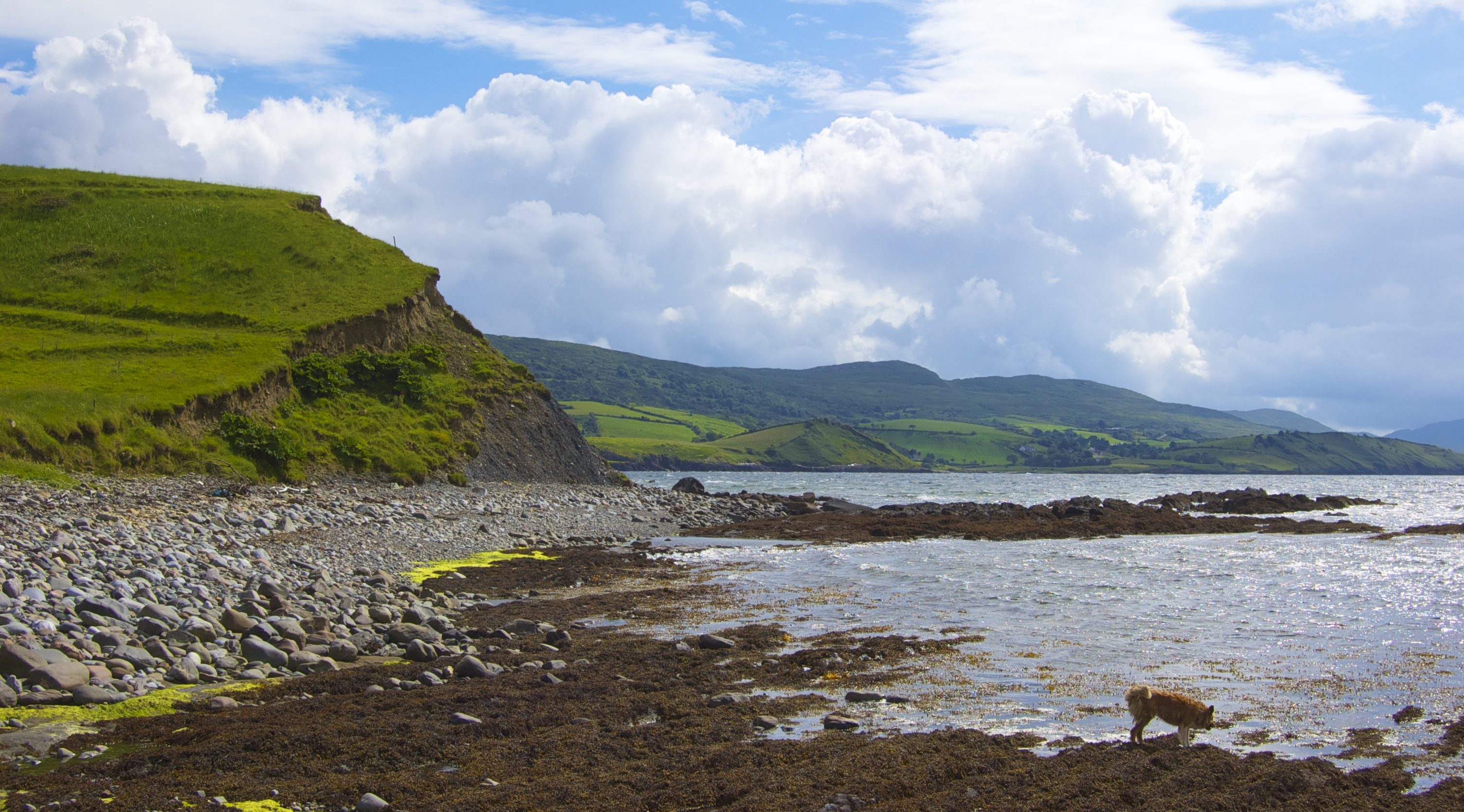 Bantry. Credit: Stephen Dagley, Flickr