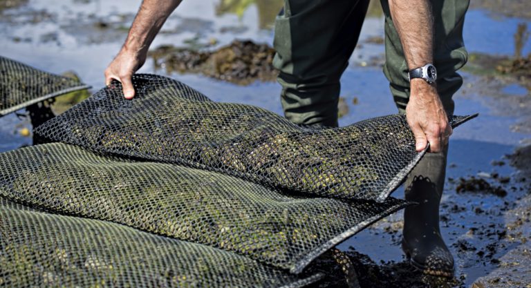 Nova Scotia's aquaculture classification system extended to shellfish ...