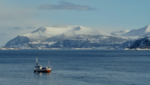 Coast Seafood Norway