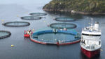 Cermaq closed containment salmon farm