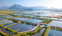 Shrimp farm near Khao Sam Roi Yot National Park, Thailand. Credit: Ben Petcharapiracht/Shutterstock.com