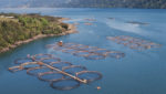 A salmon farm in Chile. Credit: MARCELODLT/Shutterstock.com