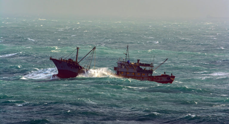 Scientists warn South China Sea fish stocks are in danger ...