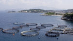 Fish farm in Greece. Credit: Konstantin Karchevskiy/Shutterstock.com