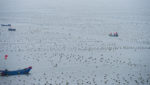 Coastal aquaculture farm in China. Credit: oceanfishing/Shutterstock.com