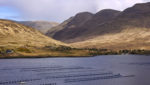 Aquaculture farm in Ireland. Credit: shutterupeire/Shutterstock.com