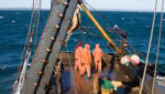 Fishermen busy themselves on a trawler vessel. Credit: Maksimilian/Shutterstock.com