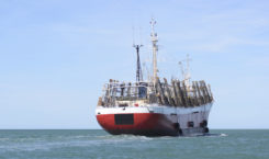 Large jigger vessel heading out to catch squid. Credit: buenaventura/Shutterstock.com