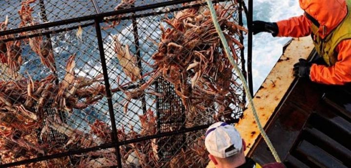 Fish Factor: Soaring crab demand; Weathervane harvest opens soon ...