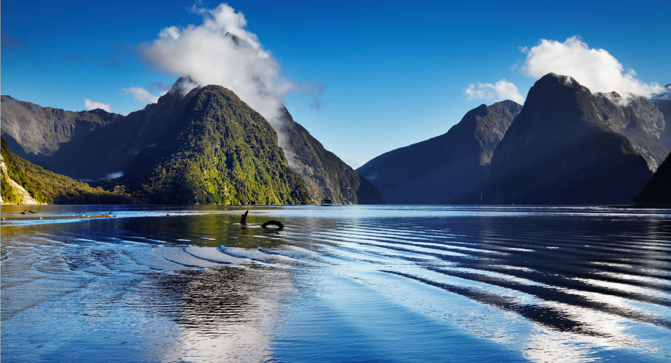 New Zealand. Credit: Dmitry Pichugin/Shutterstock.com