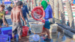 Thai fishermen sorting days's catch at Samare San port, Thailand. Fishing is a key occupation and income source in the region. Credit: jack_photo/Shutterstock.com