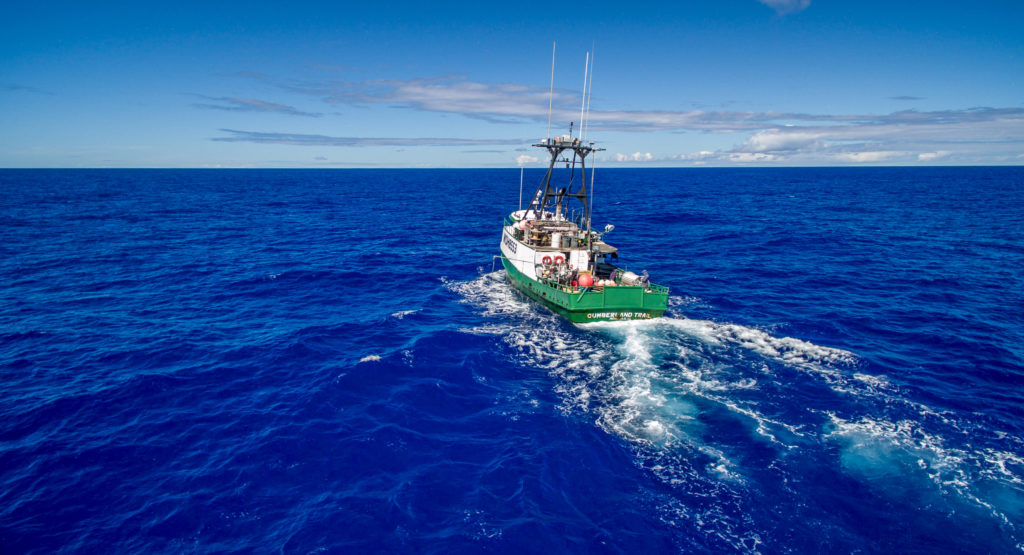 Hawaiian fishermen crafted tools of their trade