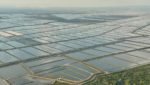 Aerial view of several Ecuadorian shrimp farms. Credit: Undercurrent News sources