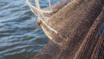 Trawl net. Credit: Mark and Anna Photography / Shutterstock