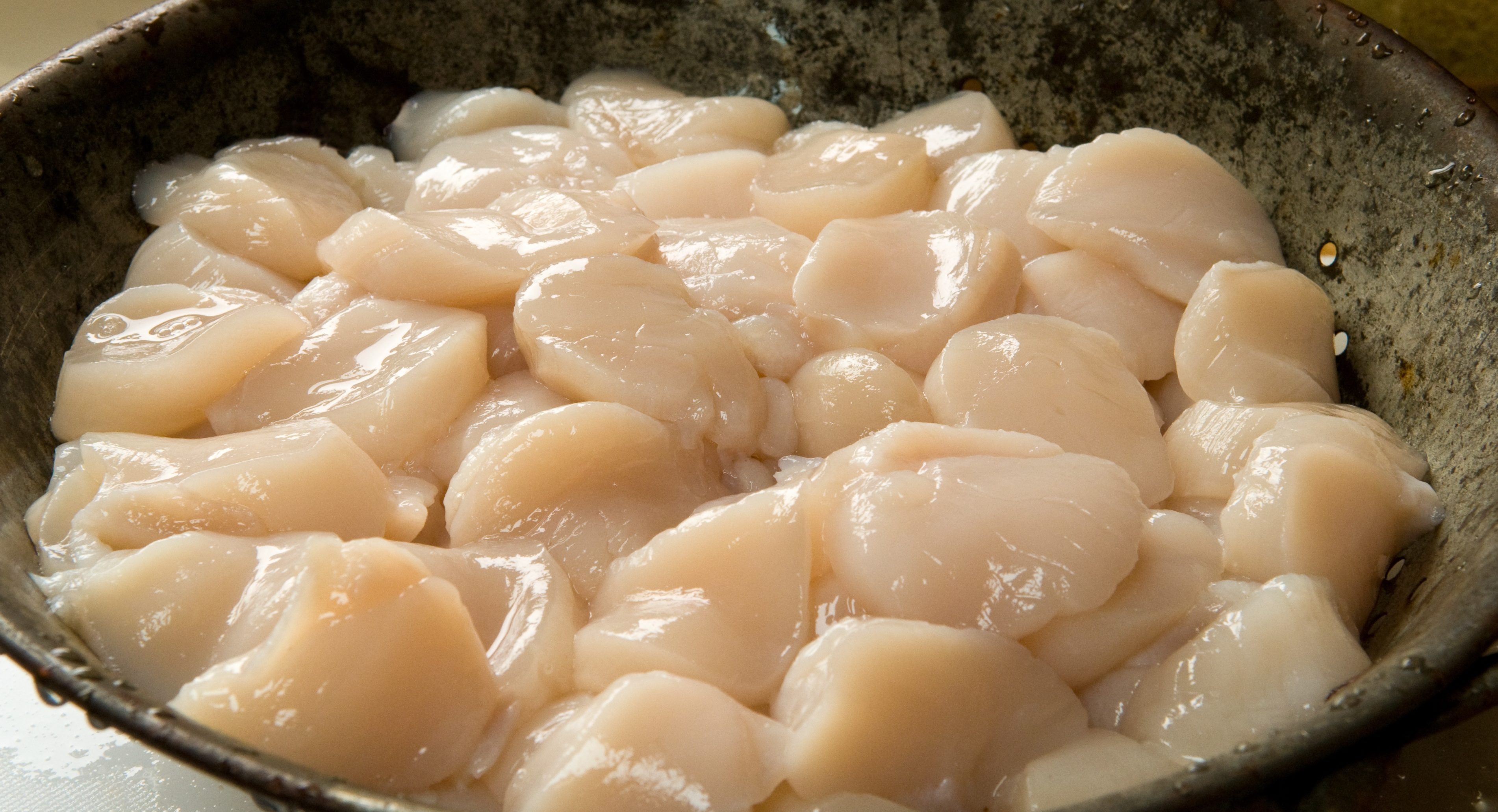 Us Scallop Prices Keep Dropping Despite 21 Fewer Domestic Landings Undercurrent News