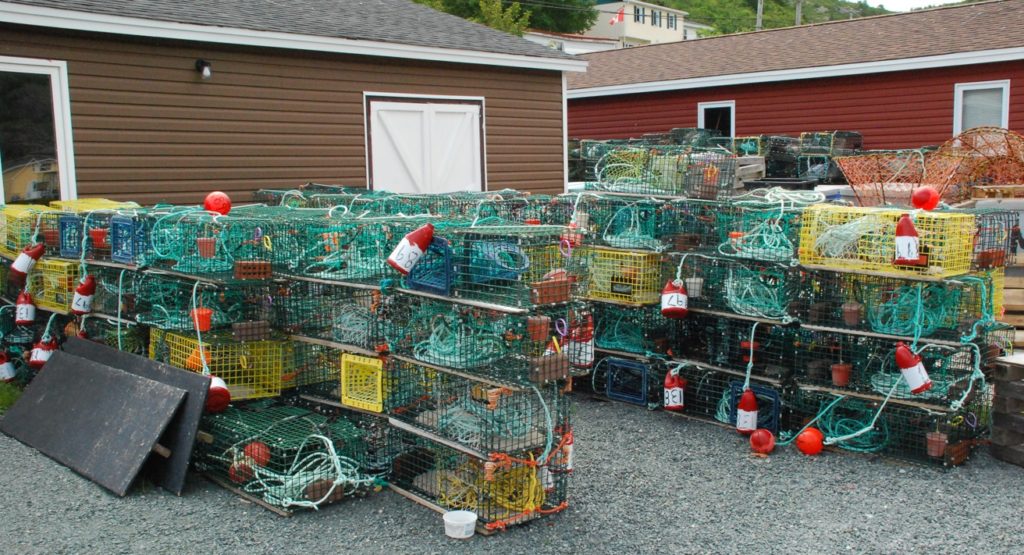 Newfoundland processors agree to buy lobster, end pricerelated holdout