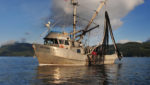 A vessel owned by the Canadian Fishing Company, known as Canfisco. Credit: Jim Pattison Group website