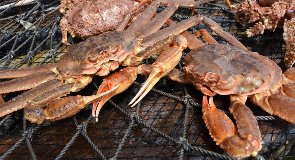 Crab Line Fishing China Trade,Buy China Direct From Crab Line Fishing  Factories at