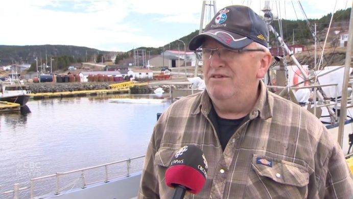 Newfoundland harvester declares intention to break rank in snow crab ...