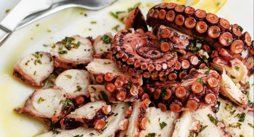 Spanish octopus specialist to expand production, storage capacity with ...