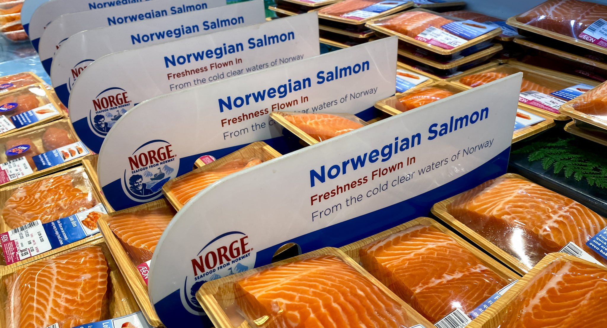 Salmon fillet, whole trout sales drive best May ever for Norwegian ...