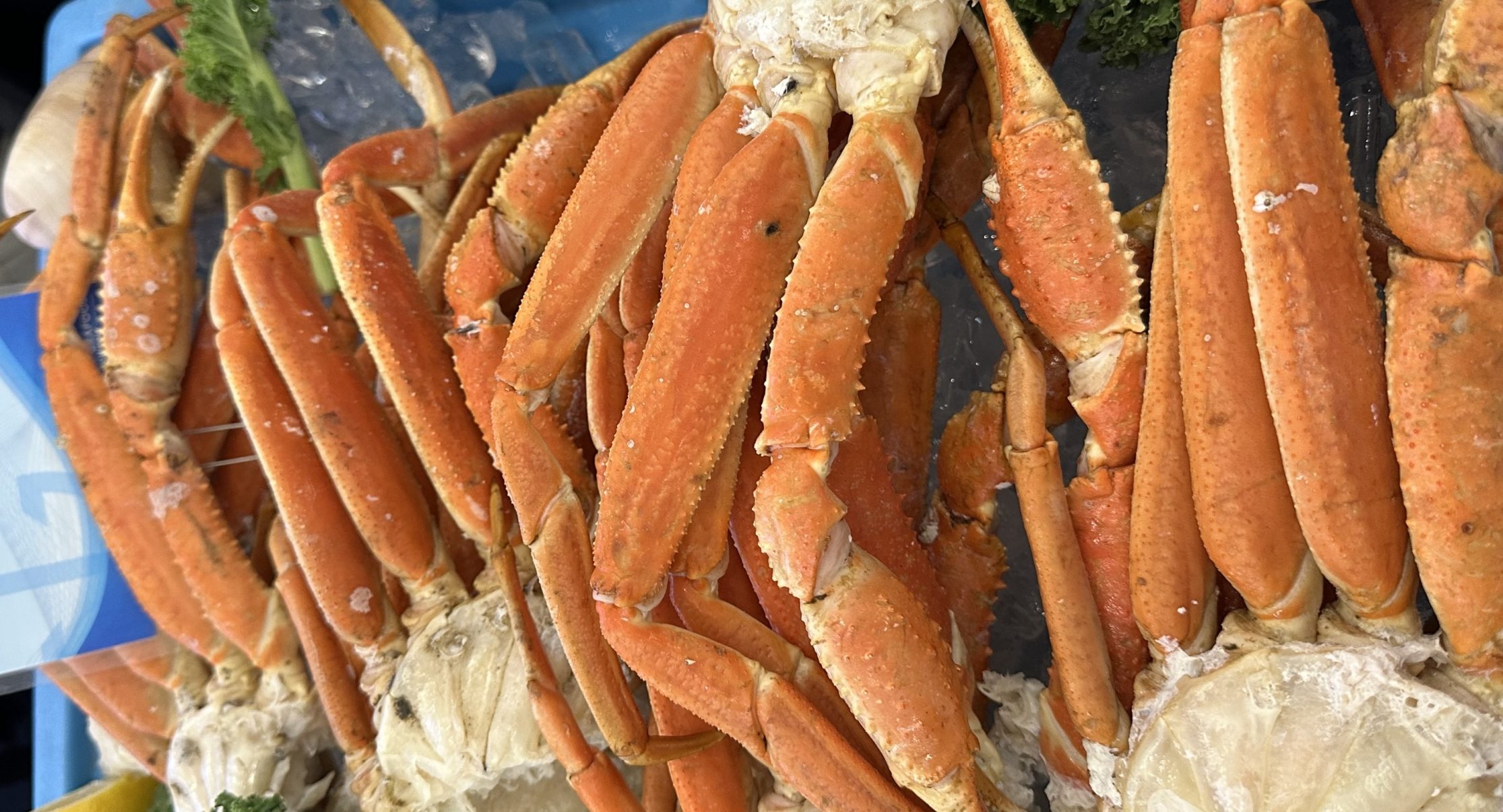 Dock prices for Nova Scotia snow crab settled; Newfoundland still in limbo  - Undercurrent News