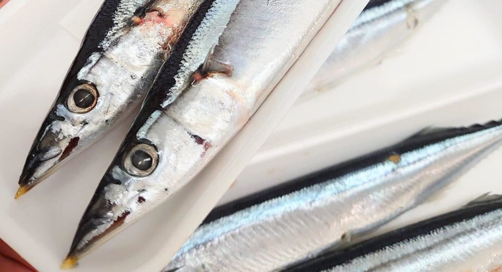 North Pacific Commission Agrees To Cut High Seas Saury Quota To 135 