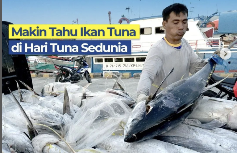 Indonesian tuna association advocates for improved support, fair ...