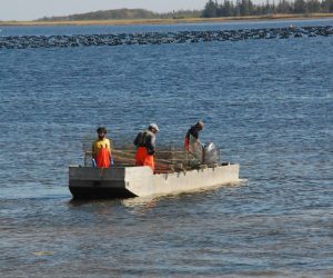 A crew sets out in the Gulf of Saint Lawrence to harvest for Oyster Kings in New Brunswick. Photograph by Jason Huffman.