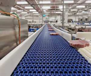 Frozen tuna steaks travel along a conveyor after being electronically weighed and cut