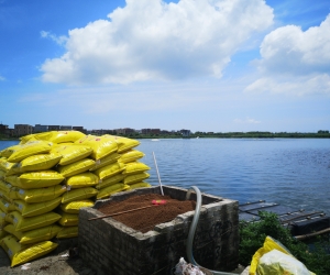 The 1,300-mu farm gets through about four metric tons of aquatic feed a day.