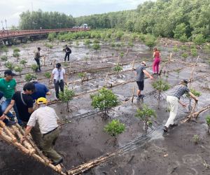 Helping to rebuild the mangrove forest in Ca Mau Cape National Park forms a key part of commitments made by both Minh Phu and Quoc Viet (now Green Seafood) to the area. As such, summit visitors were invited to venture onto platforms over soft estuary mud to plant new trees. Undercurrent News can confirm that nobody fell in.